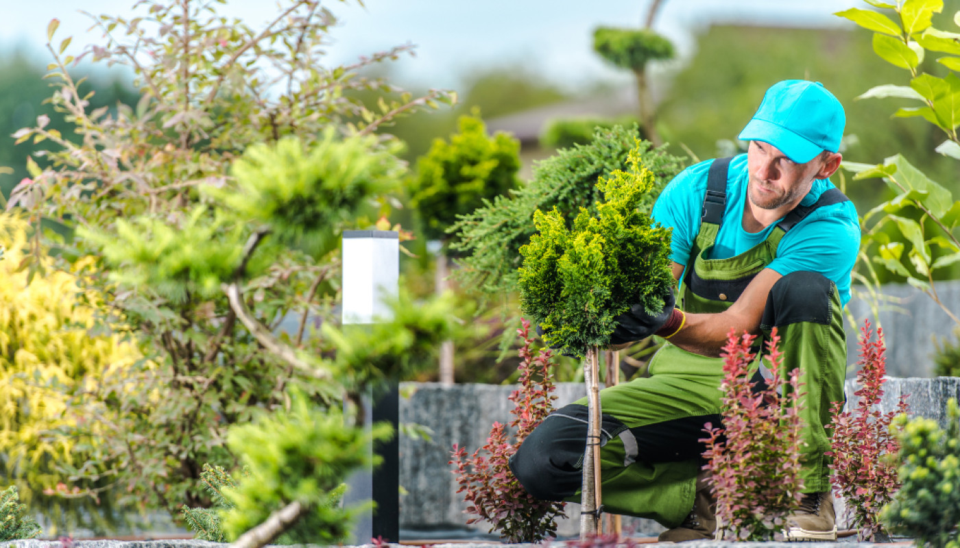 Quel paysagiste est le mieux réputé à Lure ?